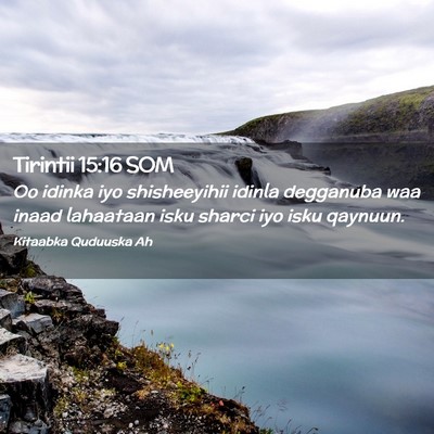 Picture 02 - Tirintii 15:16 SOM - Oo idinka iyo shisheeyihii idinla degganuba waa - Bible Verse Picture