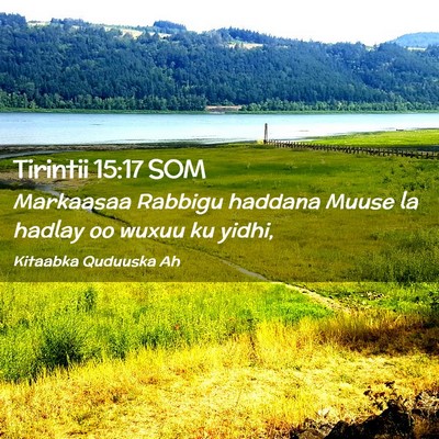 Picture 02 - Tirintii 15:17 SOM - Markaasaa Rabbigu haddana Muuse la hadlay oo - Bible Verse Picture