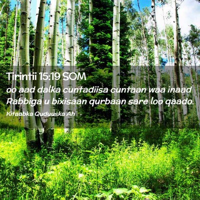 Picture 02 - Tirintii 15:19 SOM - oo aad dalka cuntadiisa cuntaan waa inaad Rabbiga - Bible Verse Picture