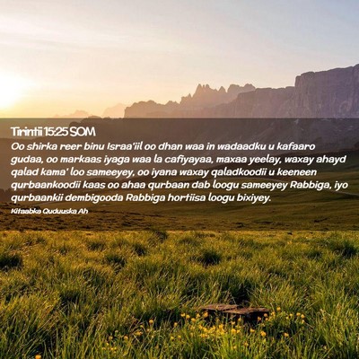Picture 02 - Tirintii 15:25 SOM - Oo shirka reer binu Israa'iil oo dhan waa in - Bible Verse Picture
