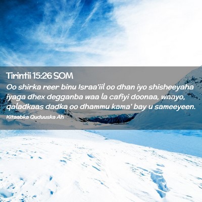 Picture 02 - Tirintii 15:26 SOM - Oo shirka reer binu Israa'iil oo dhan iyo - Bible Verse Picture