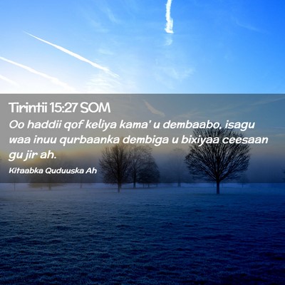 Picture 02 - Tirintii 15:27 SOM - Oo haddii qof keliya kama' u dembaabo, isagu waa - Bible Verse Picture