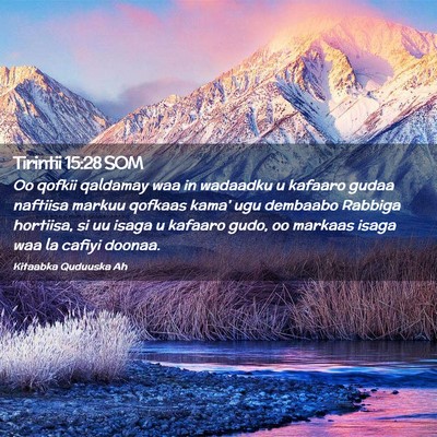 Picture 02 - Tirintii 15:28 SOM - Oo qofkii qaldamay waa in wadaadku u kafaaro - Bible Verse Picture