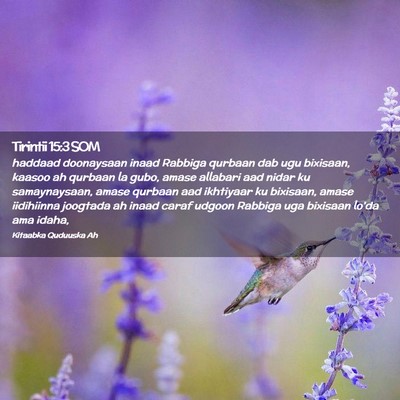 Picture 02 - Tirintii 15:3 SOM - haddaad doonaysaan inaad Rabbiga qurbaan dab ugu - Bible Verse Picture