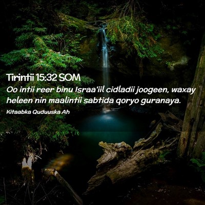 Picture 02 - Tirintii 15:32 SOM - Oo intii reer binu Israa'iil cidladii joogeen, - Bible Verse Picture