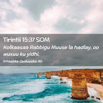 Picture 02 - Tirintii 15:37 SOM - Kolkaasaa Rabbigu Muuse la hadlay, oo wuxuu ku - Bible Verse Picture