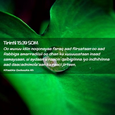 Picture 02 - Tirintii 15:39 SOM - Oo wuxuu idiin noqonayaa faraq aad fiirsataan oo - Bible Verse Picture