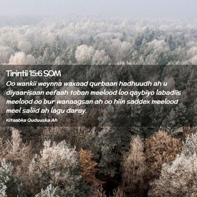 Picture 02 - Tirintii 15:6 SOM - Oo wankii weynna waxaad qurbaan hadhuudh ah u - Bible Verse Picture