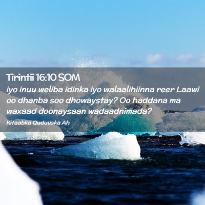 Picture 02 - Tirintii 16:10 SOM - iyo inuu weliba idinka iyo walaalihiinna reer - Bible Verse Picture