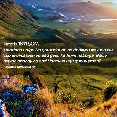 Picture 02 - Tirintii 16:11 SOM - Haddaba adiga iyo guutadaada oo dhammu waxaad isu - Bible Verse Picture