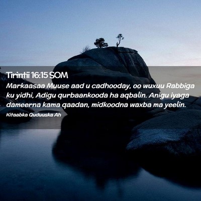 Picture 02 - Tirintii 16:15 SOM - Markaasaa Muuse aad u cadhooday, oo wuxuu Rabbiga - Bible Verse Picture