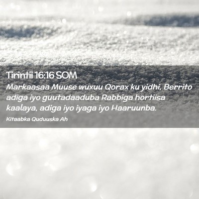 Picture 02 - Tirintii 16:16 SOM - Markaasaa Muuse wuxuu Qorax ku yidhi, Berrito - Bible Verse Picture