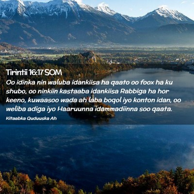 Picture 02 - Tirintii 16:17 SOM - Oo idinka nin waluba idankiisa ha qaato oo foox - Bible Verse Picture