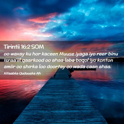 Picture 02 - Tirintii 16:2 SOM - oo waxay ku hor kaceen Muuse iyaga iyo reer binu - Bible Verse Picture