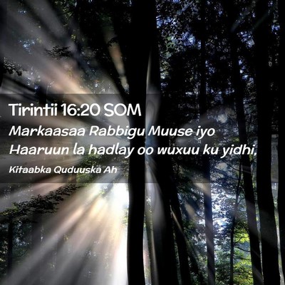 Picture 02 - Tirintii 16:20 SOM - Markaasaa Rabbigu Muuse iyo Haaruun la hadlay oo - Bible Verse Picture