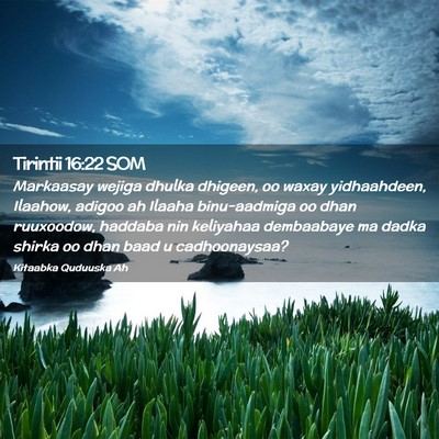Picture 02 - Tirintii 16:22 SOM - Markaasay wejiga dhulka dhigeen, oo waxay - Bible Verse Picture