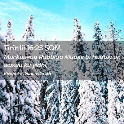 Picture 02 - Tirintii 16:23 SOM - Markaasaa Rabbigu Muuse la hadlay oo wuxuu ku - Bible Verse Picture