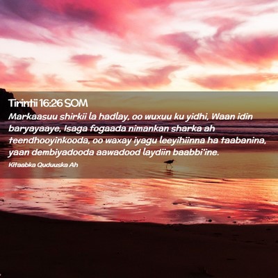 Picture 02 - Tirintii 16:26 SOM - Markaasuu shirkii la hadlay, oo wuxuu ku yidhi, - Bible Verse Picture