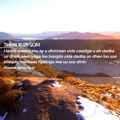Picture 02 - Tirintii 16:29 SOM - Haddii nimankanu ay u dhintaan sida caadiga u ah - Bible Verse Picture