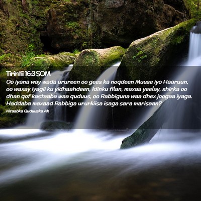 Picture 02 - Tirintii 16:3 SOM - Oo iyana way wada urureen oo gees ka noqdeen - Bible Verse Picture