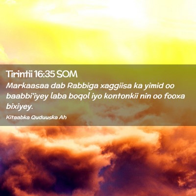 Picture 02 - Tirintii 16:35 SOM - Markaasaa dab Rabbiga xaggiisa ka yimid oo - Bible Verse Picture