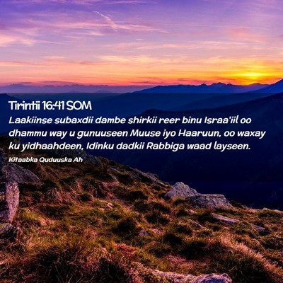 Picture 02 - Tirintii 16:41 SOM - Laakiinse subaxdii dambe shirkii reer binu - Bible Verse Picture