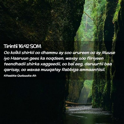Picture 02 - Tirintii 16:42 SOM - Oo kolkii shirkii oo dhammu ay soo urureen oo ay - Bible Verse Picture