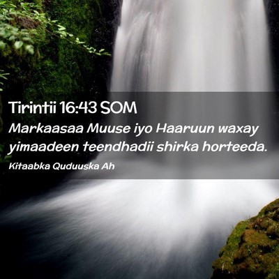 Picture 02 - Tirintii 16:43 SOM - Markaasaa Muuse iyo Haaruun waxay yimaadeen - Bible Verse Picture