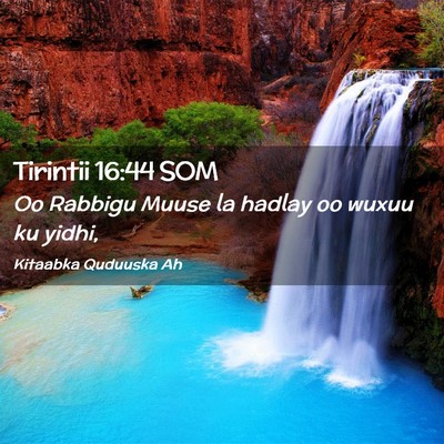 Picture 02 - Tirintii 16:44 SOM - Oo Rabbigu Muuse la hadlay oo wuxuu ku - Bible Verse Picture