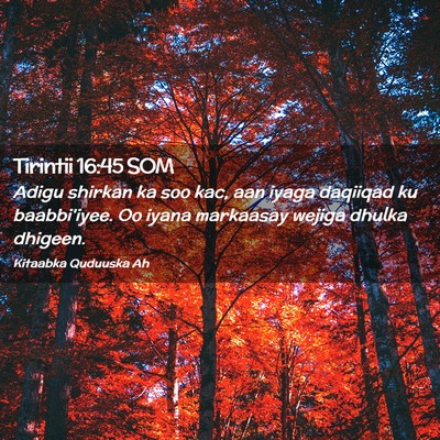 Picture 02 - Tirintii 16:45 SOM - Adigu shirkan ka soo kac, aan iyaga daqiiqad ku - Bible Verse Picture