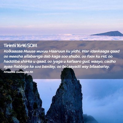 Picture 02 - Tirintii 16:46 SOM - Kolkaasaa Muuse wuxuu Haaruun ku yidhi, War - Bible Verse Picture