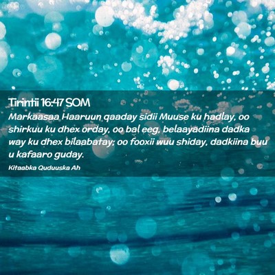 Picture 02 - Tirintii 16:47 SOM - Markaasaa Haaruun qaaday sidii Muuse ku hadlay, - Bible Verse Picture