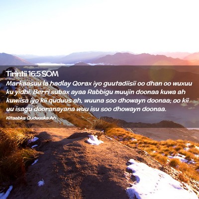 Picture 02 - Tirintii 16:5 SOM - Markaasuu la hadlay Qorax iyo guutadiisii oo dhan - Bible Verse Picture