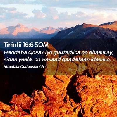 Picture 02 - Tirintii 16:6 SOM - Haddaba Qorax iyo guutadiisa oo dhammay, sidan - Bible Verse Picture