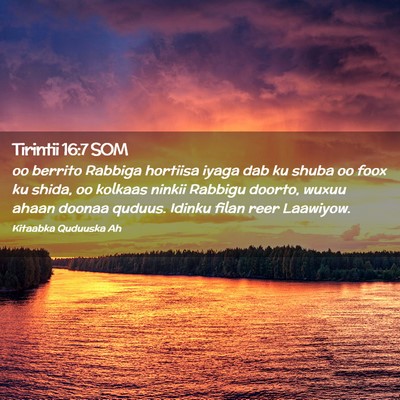 Picture 02 - Tirintii 16:7 SOM - oo berrito Rabbiga hortiisa iyaga dab ku shuba oo - Bible Verse Picture