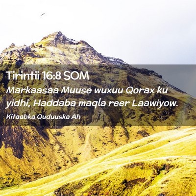 Picture 02 - Tirintii 16:8 SOM - Markaasaa Muuse wuxuu Qorax ku yidhi, Haddaba - Bible Verse Picture