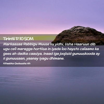 Picture 02 - Tirintii 17:10 SOM - Markaasaa Rabbigu Muuse ku yidhi, Usha Haaruun - Bible Verse Picture