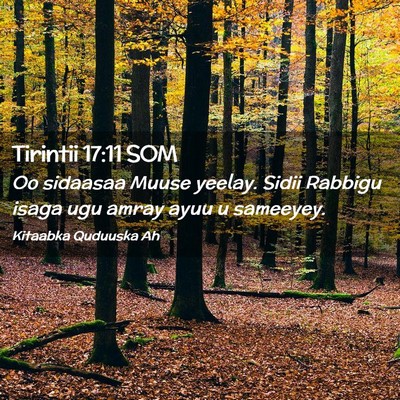Picture 02 - Tirintii 17:11 SOM - Oo sidaasaa Muuse yeelay. Sidii Rabbigu isaga ugu - Bible Verse Picture