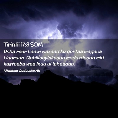 Picture 02 - Tirintii 17:3 SOM - Usha reer Laawi waxaad ku qortaa magaca Haaruun. - Bible Verse Picture