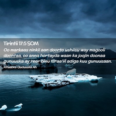 Picture 02 - Tirintii 17:5 SOM - Oo markaas ninkii aan doorto ushiisu way magooli - Bible Verse Picture