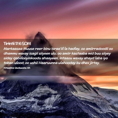 Picture 02 - Tirintii 17:6 SOM - Markaasaa Muuse reer binu Israa'iil la hadlay, oo - Bible Verse Picture