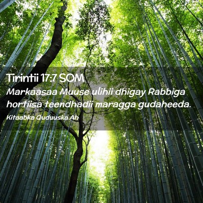 Picture 02 - Tirintii 17:7 SOM - Markaasaa Muuse ulihii dhigay Rabbiga hortiisa - Bible Verse Picture