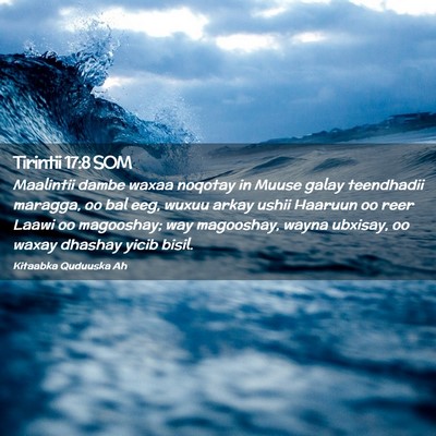 Picture 02 - Tirintii 17:8 SOM - Maalintii dambe waxaa noqotay in Muuse galay - Bible Verse Picture