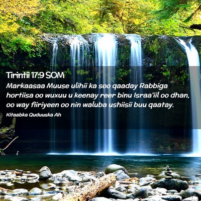 Picture 02 - Tirintii 17:9 SOM - Markaasaa Muuse ulihii ka soo qaaday Rabbiga - Bible Verse Picture