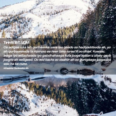 Picture 02 - Tirintii 18:11 SOM - Oo adigaa iska leh qurbaanka sare loo qaado oo - Bible Verse Picture