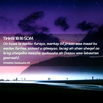 Picture 02 - Tirintii 18:16 SOM - Oo kuwa la madax furayo, markay bil jiraan waa - Bible Verse Picture