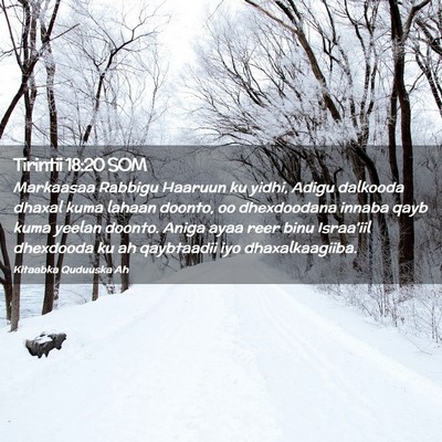 Picture 02 - Tirintii 18:20 SOM - Markaasaa Rabbigu Haaruun ku yidhi, Adigu - Bible Verse Picture