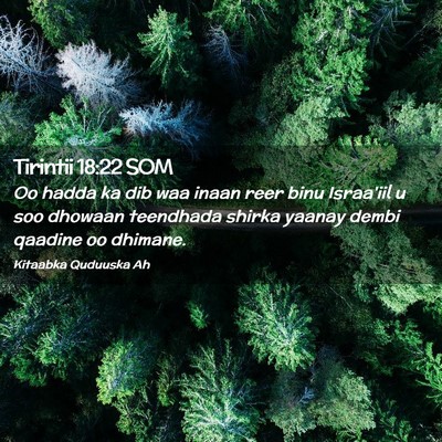 Picture 02 - Tirintii 18:22 SOM - Oo hadda ka dib waa inaan reer binu Israa'iil u - Bible Verse Picture