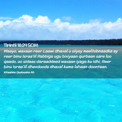 Picture 02 - Tirintii 18:24 SOM - Waayo, waxaan reer Laawi dhaxal u siiyey - Bible Verse Picture
