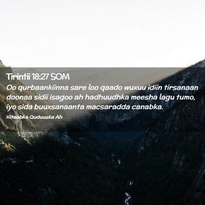 Picture 02 - Tirintii 18:27 SOM - Oo qurbaankiinna sare loo qaado wuxuu idiin - Bible Verse Picture